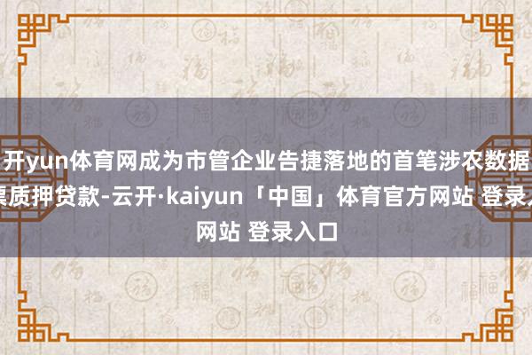 开yun体育网成为市管企业告捷落地的首笔涉农数据钞票质押贷款-云开·kaiyun「中国」体育官方网站 登录入口