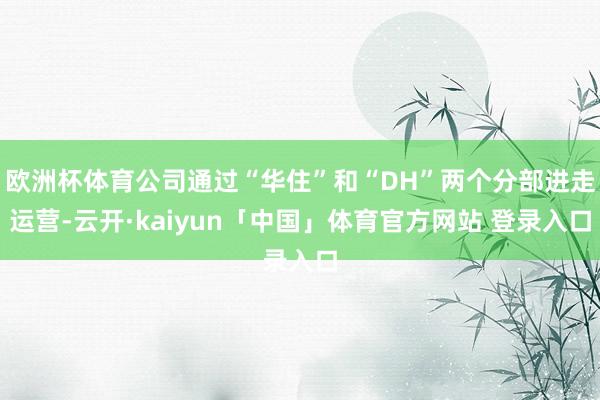 欧洲杯体育公司通过“华住”和“DH”两个分部进走运营-云开·kaiyun「中国」体育官方网站 登录入口