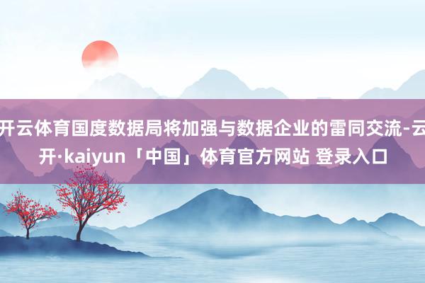 开云体育国度数据局将加强与数据企业的雷同交流-云开·kaiyun「中国」体育官方网站 登录入口