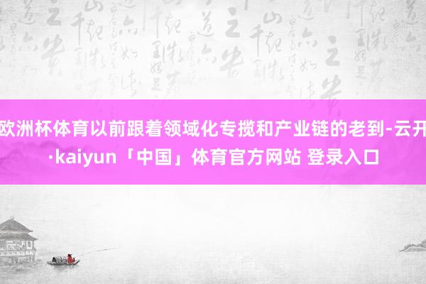 欧洲杯体育以前跟着领域化专揽和产业链的老到-云开·kaiyun「中国」体育官方网站 登录入口