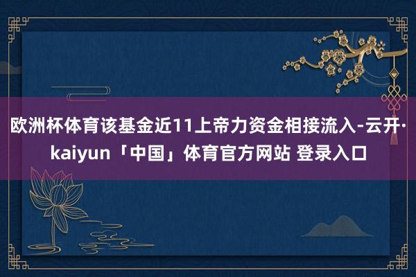 欧洲杯体育该基金近11上帝力资金相接流入-云开·kaiyun「中国」体育官方网站 登录入口