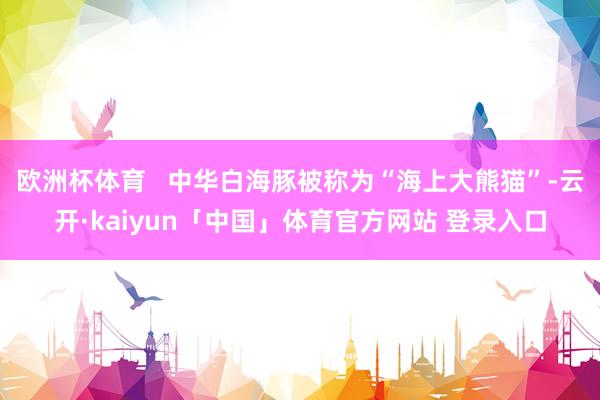 欧洲杯体育   中华白海豚被称为“海上大熊猫”-云开·kaiyun「中国」体育官方网站 登录入口