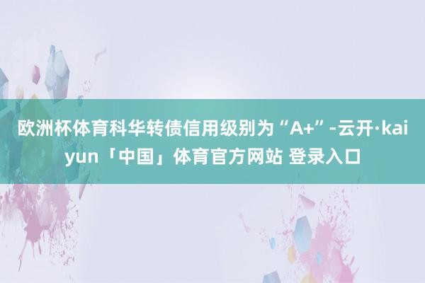 欧洲杯体育科华转债信用级别为“A+”-云开·kaiyun「中国」体育官方网站 登录入口